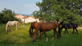 Отель Oasis of Peace and Relaxation near Opatija  Рукавач